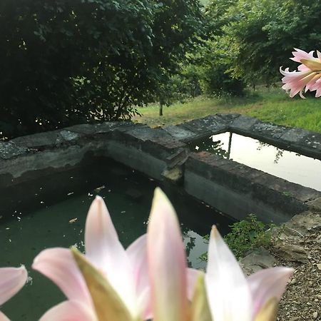 Relax Nella Natura Bolano المظهر الخارجي الصورة