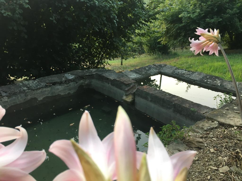 Relax Nella Natura Bolano المظهر الخارجي الصورة