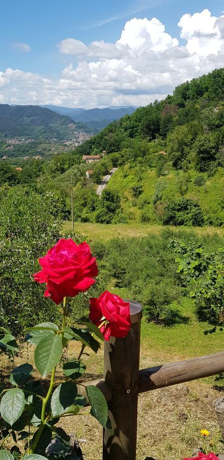 Relax Nella Natura Bolano المظهر الخارجي الصورة