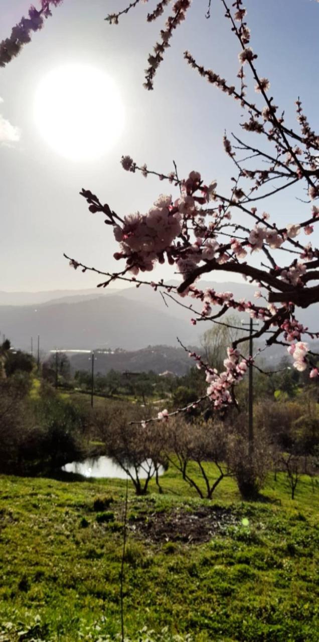 Relax Nella Natura Bolano المظهر الخارجي الصورة